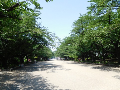 f:id:bata_sun:20170609193930j:plain f:id:bata_sun:20170609193930j:plain