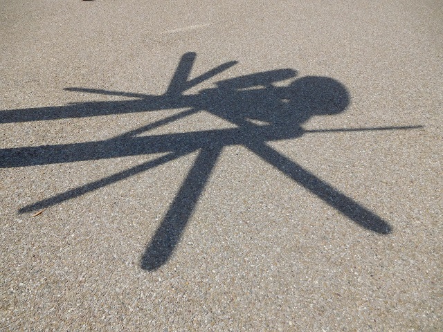 f:id:bata_sun:20170609194225j:plain f:id:bata_sun:20170609194225j:plain