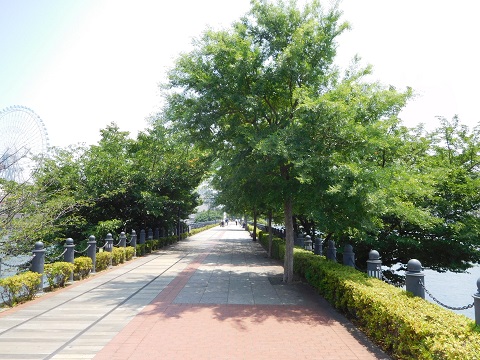 f:id:bata_sun:20170621074800j:plain