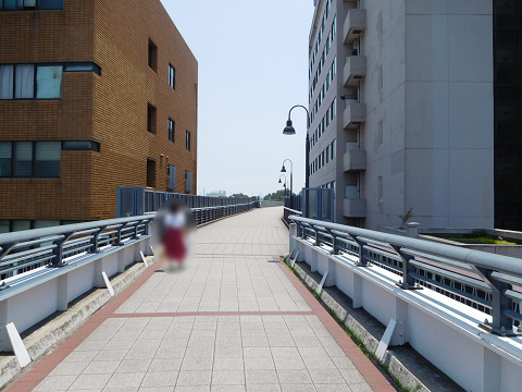 f:id:bata_sun:20170622181737j:plain f:id:bata_sun:20170622181737j:plain