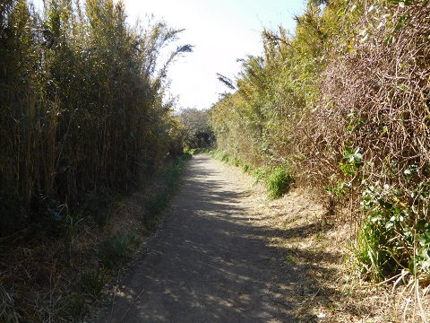 f:id:bata_sun:20170707200538j:plain