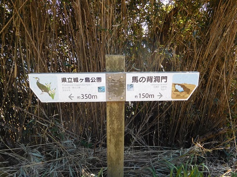 f:id:bata_sun:20170707200801j:plain