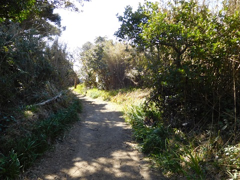 f:id:bata_sun:20170707201100j:plain