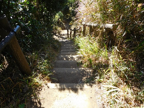 f:id:bata_sun:20170707201357j:plain