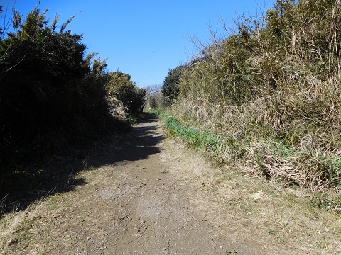 f:id:bata_sun:20170707204148j:plain