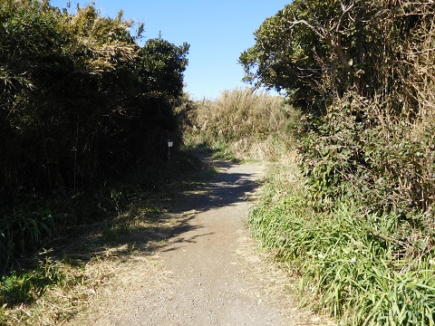 f:id:bata_sun:20170707204158j:plain