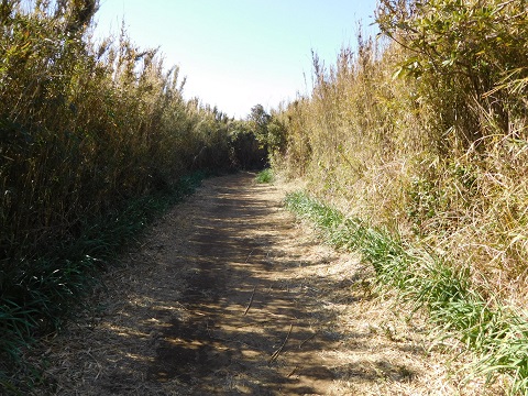 f:id:bata_sun:20170707204433j:plain