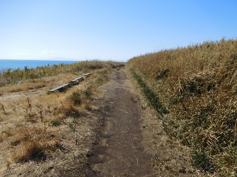 f:id:bata_sun:20170707204540j:plain