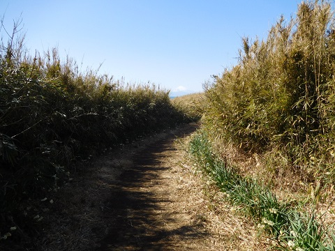 f:id:bata_sun:20170708100950j:plain