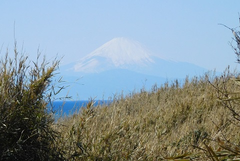 f:id:bata_sun:20170708101112j:plain