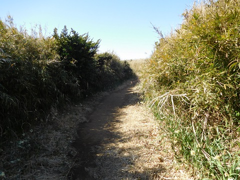 f:id:bata_sun:20170708101414j:plain