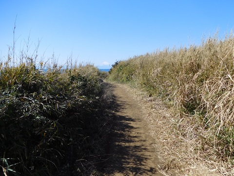 f:id:bata_sun:20170708101425j:plain