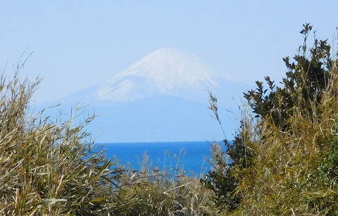 f:id:bata_sun:20170708101516j:plain