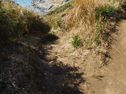 f:id:bata_sun:20170708101845j:plain