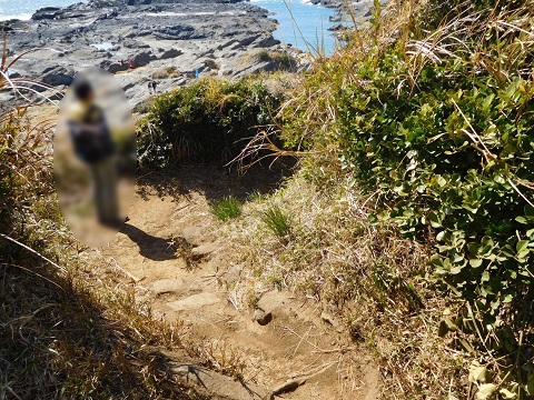 f:id:bata_sun:20170708101927j:plain