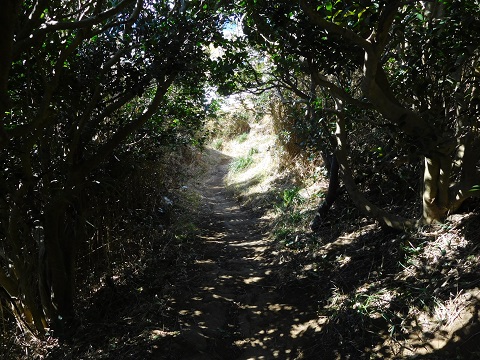 f:id:bata_sun:20170708102401j:plain