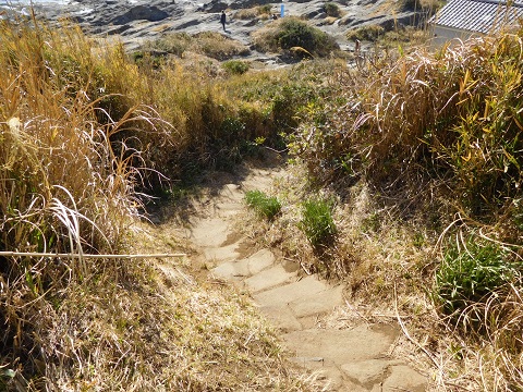 f:id:bata_sun:20170708102433j:plain