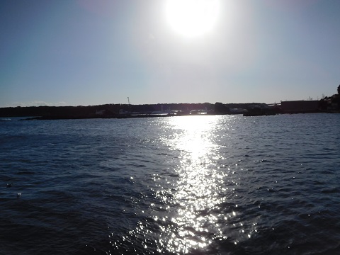 f:id:bata_sun:20170710202743j:plain