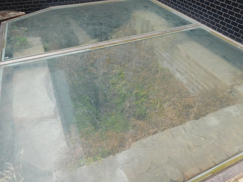 f:id:bata_sun:20170818155525j:plain f:id:bata_sun:20170818155525j:plain