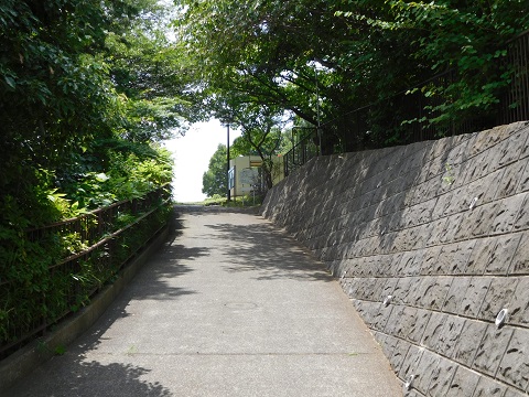 f:id:bata_sun:20170821182003j:plain