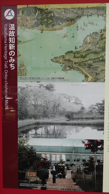 f:id:bata_sun:20170823192425j:plain f:id:bata_sun:20170823192425j:plain