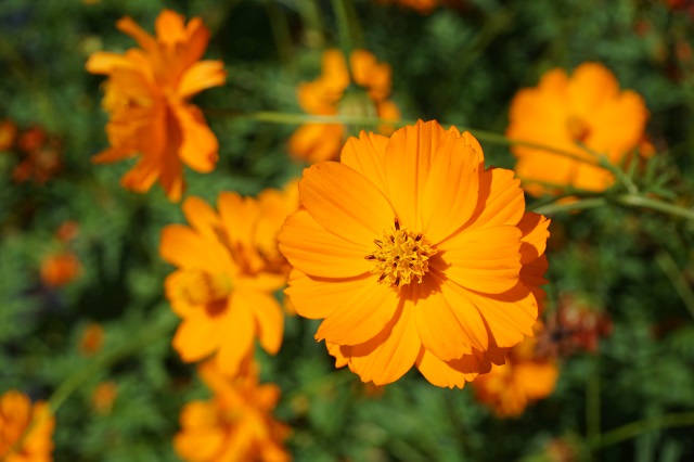 f:id:bata_sun:20170923101613j:plain