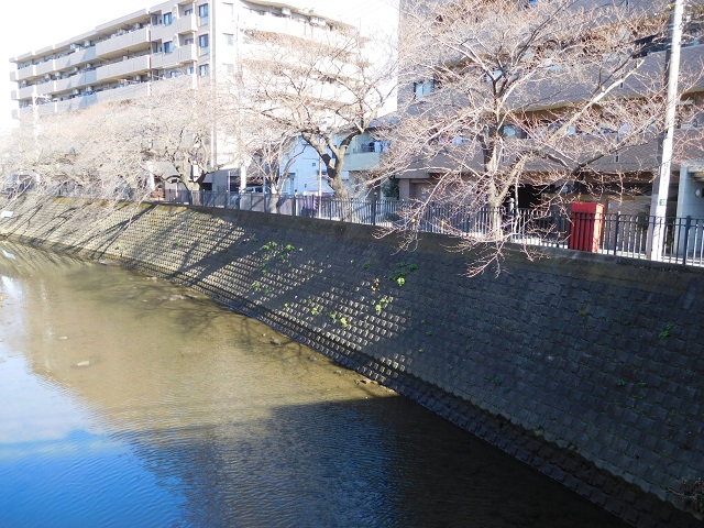 f:id:bata_sun:20171220211937j:plain f:id:bata_sun:20171220211937j:plain