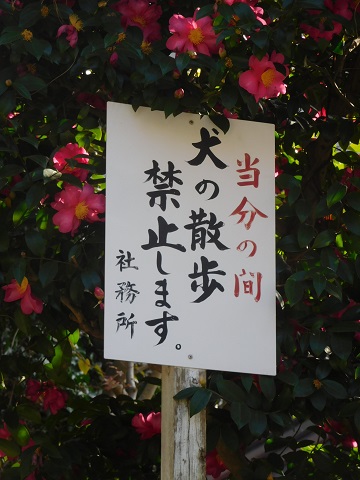 f:id:bata_sun:20171223121853j:plain f:id:bata_sun:20171223121853j:plain