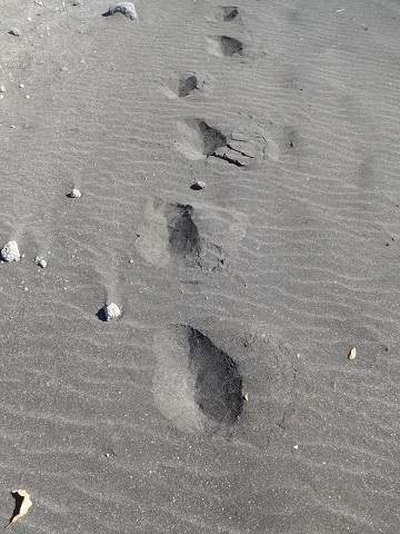 f:id:bata_sun:20171229102759j:plain f:id:bata_sun:20171229102759j:plain