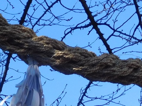 f:id:bata_sun:20180102181525j:plain