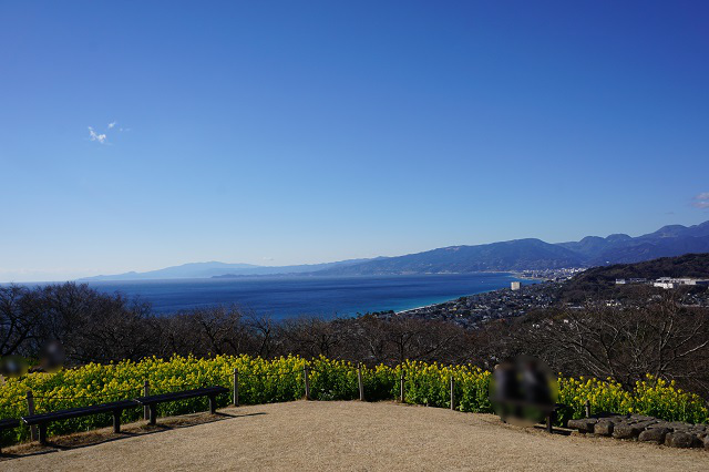 f:id:bata_sun:20180112192302j:plain f:id:bata_sun:20180112192302j:plain