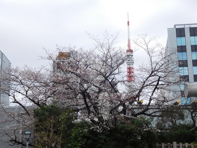 f:id:bata_sun:20180324102529j:plain