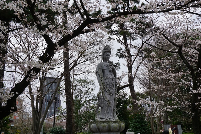 f:id:bata_sun:20180324103052j:plain