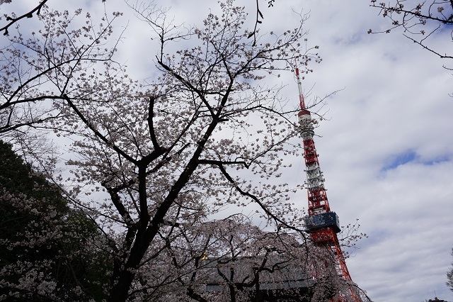 f:id:bata_sun:20180324103405j:plain