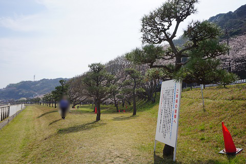 f:id:bata_sun:20180326212512j:plain