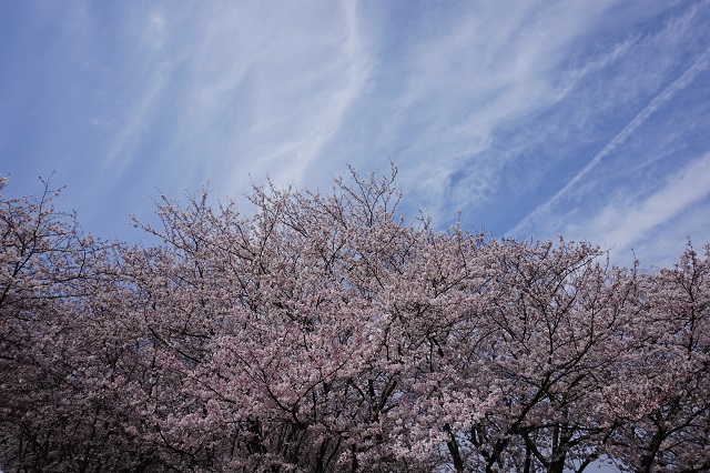 f:id:bata_sun:20180326213148j:plain
