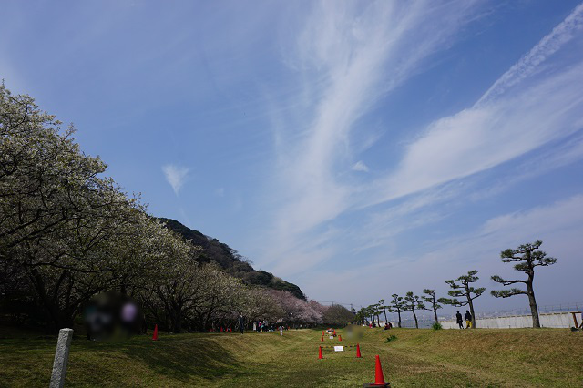 f:id:bata_sun:20180326213454j:plain