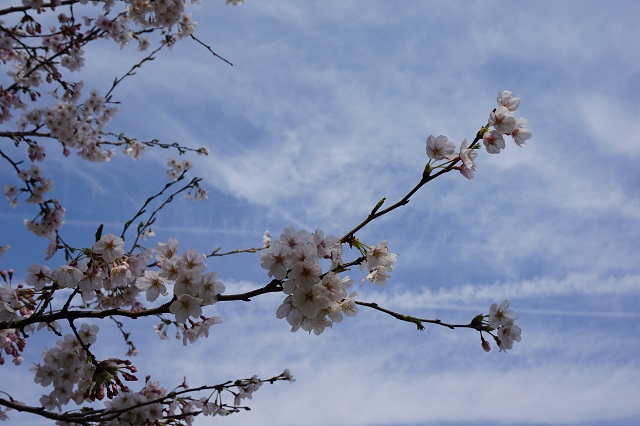 f:id:bata_sun:20180326213729j:plain