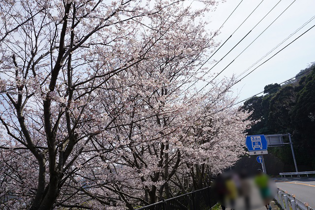 f:id:bata_sun:20180326213840j:plain