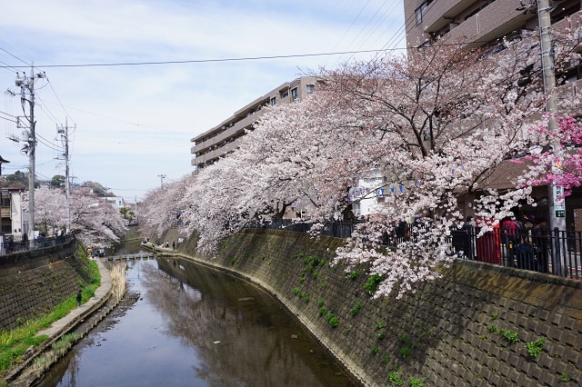 f:id:bata_sun:20180327142340j:plain