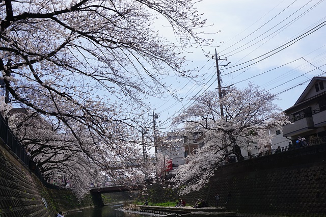 f:id:bata_sun:20180327142559j:plain