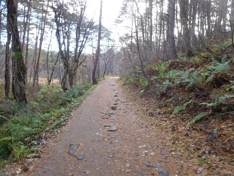 f:id:bata_sun:20181119185148j:plain f:id:bata_sun:20181119185148j:plain