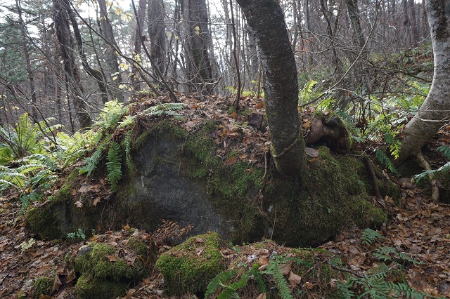 f:id:bata_sun:20181119192610j:plain f:id:bata_sun:20181119192610j:plain