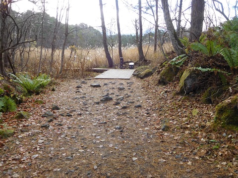 f:id:bata_sun:20181119193617j:plain f:id:bata_sun:20181119193617j:plain