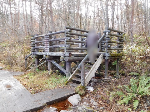 f:id:bata_sun:20181119194438j:plain f:id:bata_sun:20181119194438j:plain