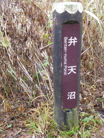 f:id:bata_sun:20181119194540j:plain f:id:bata_sun:20181119194540j:plain