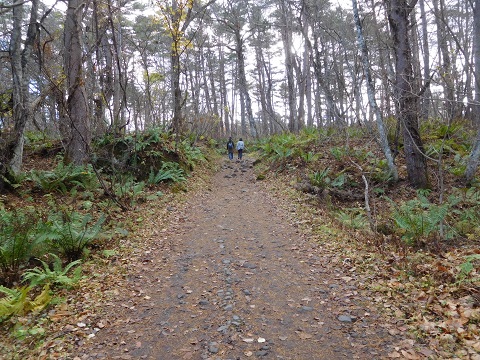 f:id:bata_sun:20181121091646j:plain f:id:bata_sun:20181121091646j:plain