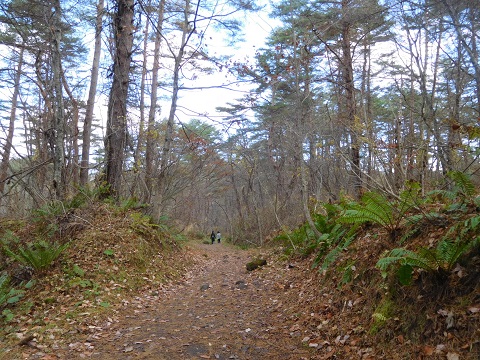 f:id:bata_sun:20181121091658j:plain f:id:bata_sun:20181121091658j:plain