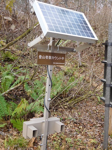 f:id:bata_sun:20181121092132j:plain f:id:bata_sun:20181121092132j:plain