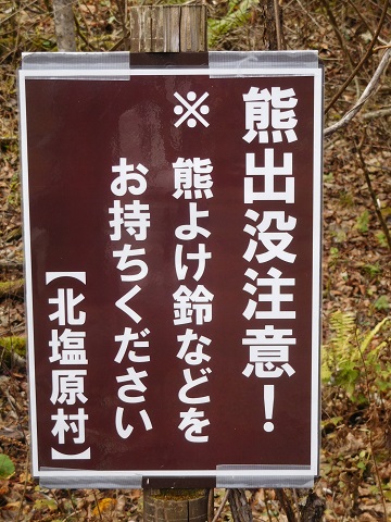 f:id:bata_sun:20181121092426j:plain f:id:bata_sun:20181121092426j:plain